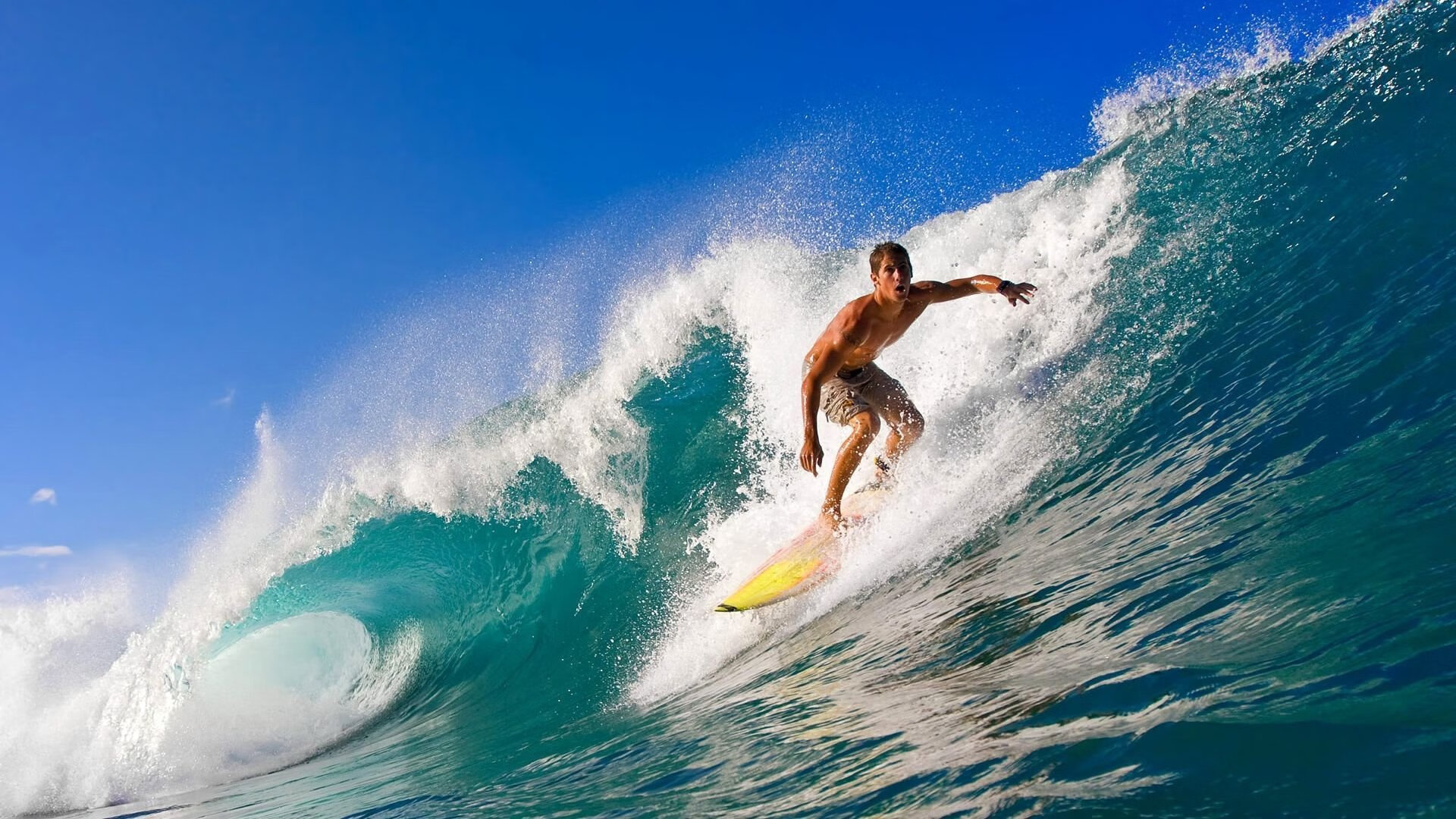 NBA杯夺冠概率更新：火箭5%垫底，湖人8%列前三，nba冠军杯