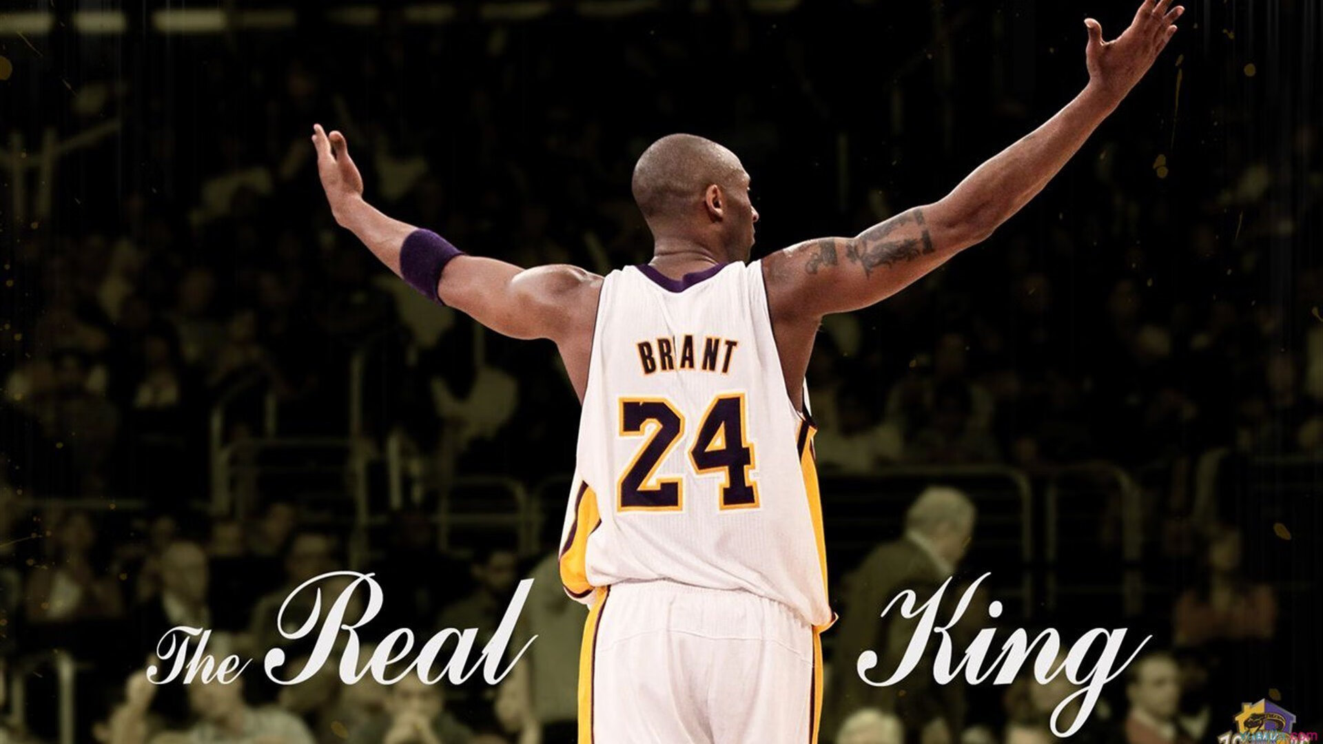 UFC地面反制与关节防护训练：掌握制胜的核心技巧